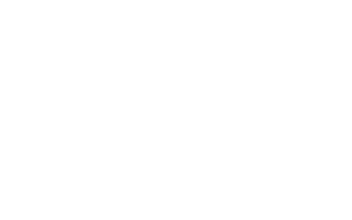 SeeSite — See Your Business Site